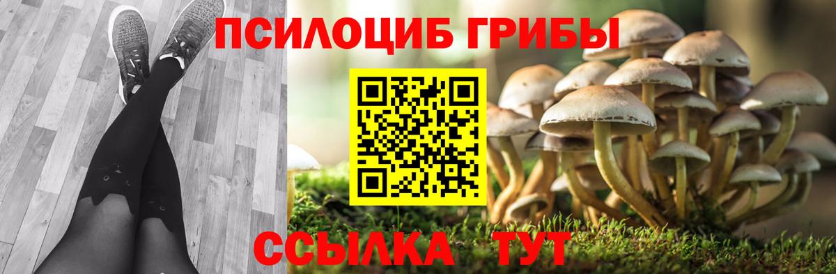 Королёв  Псилоцибиновые грибы мицелий  Вход с VPN 